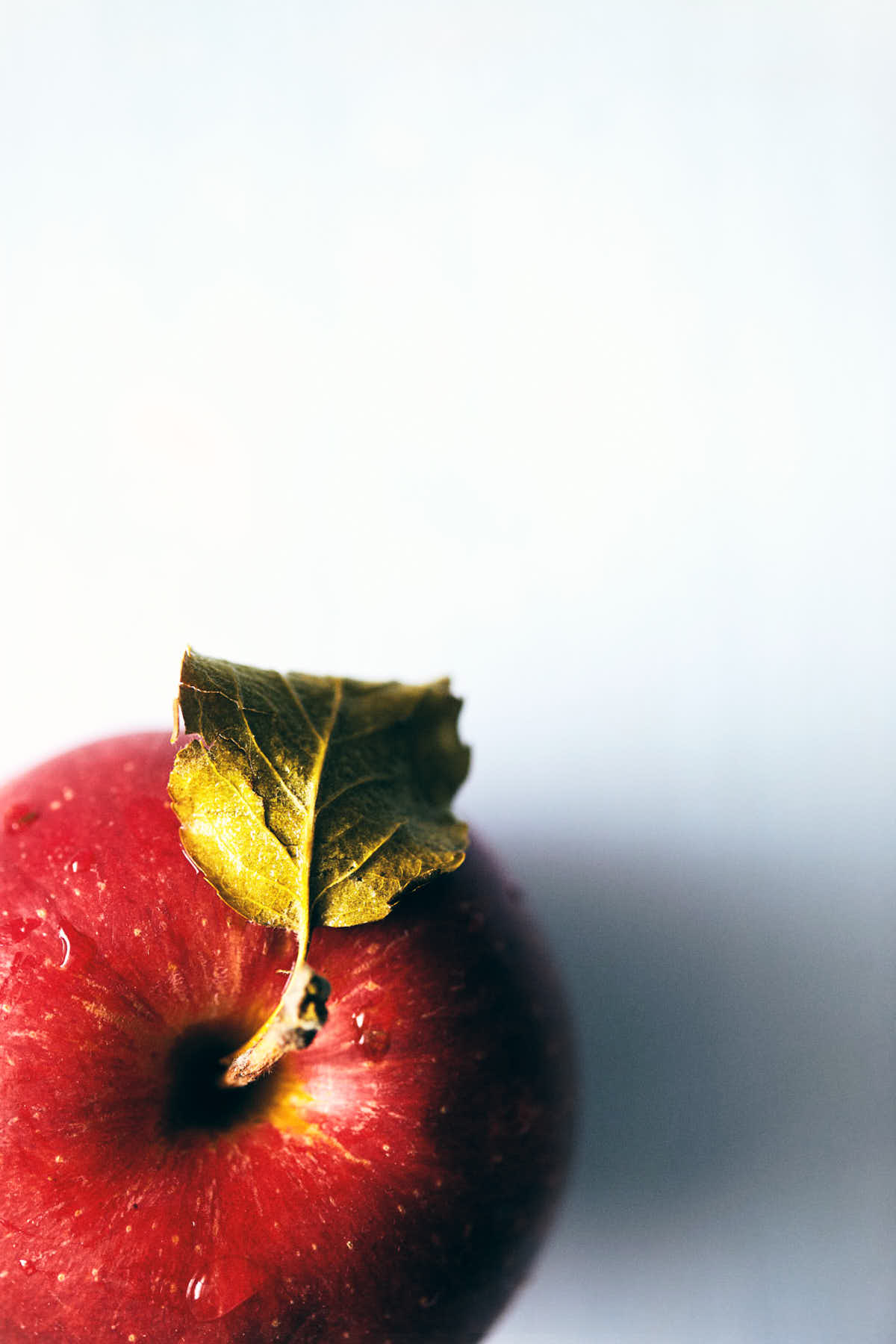 Close up of red apple with leaf still attached