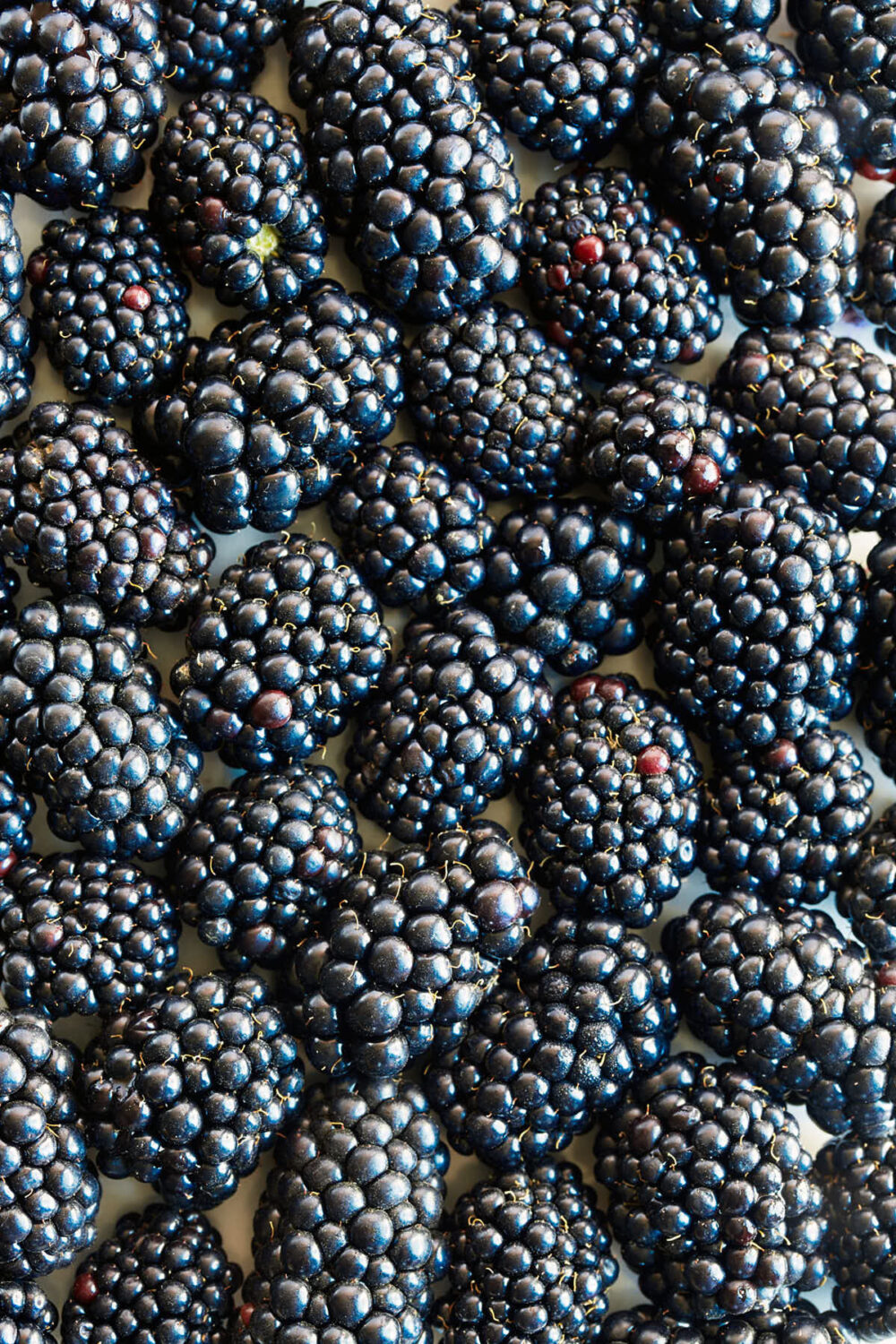 Close up texture of blackberries