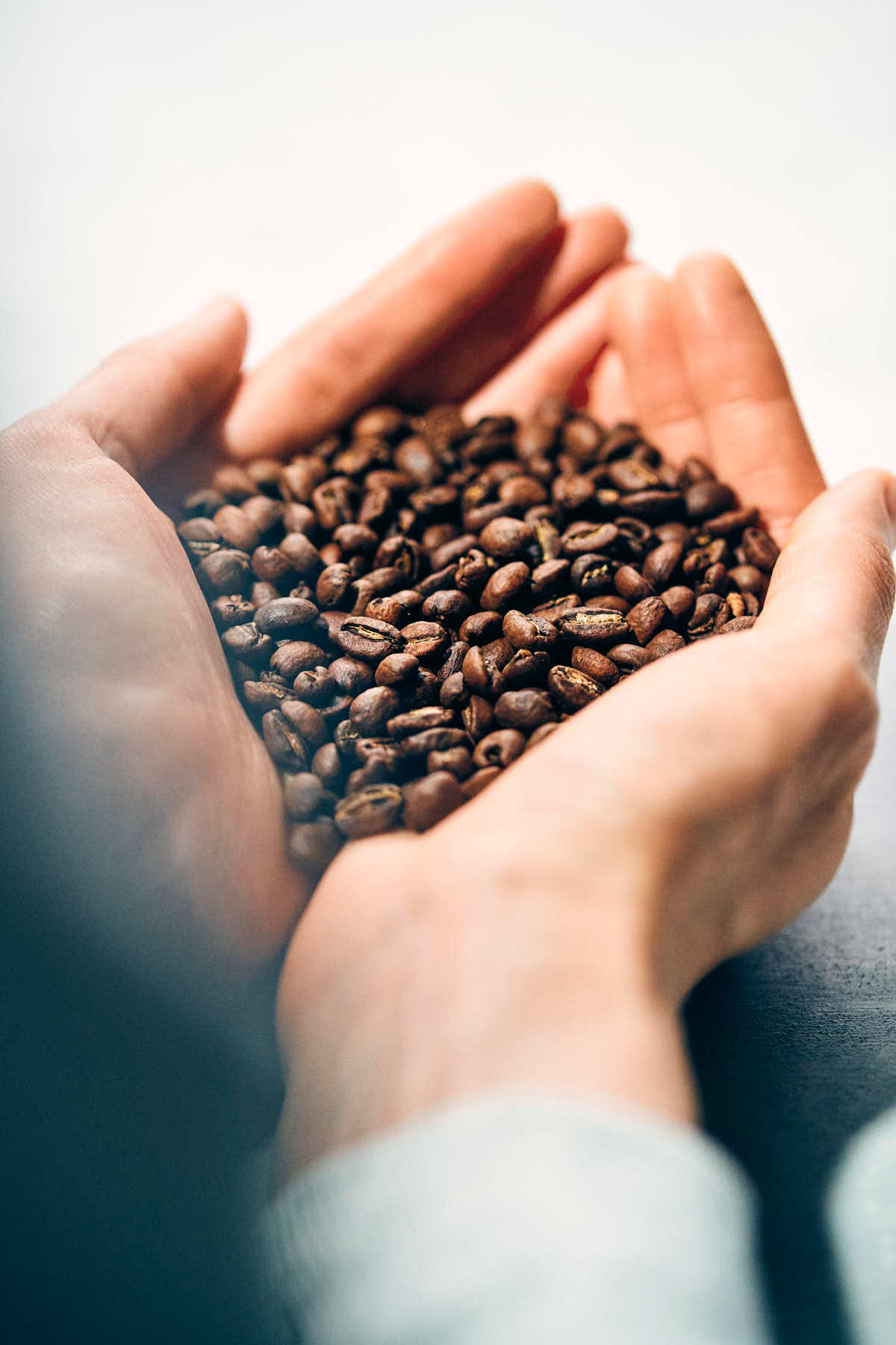 Coffe beans being held in palms