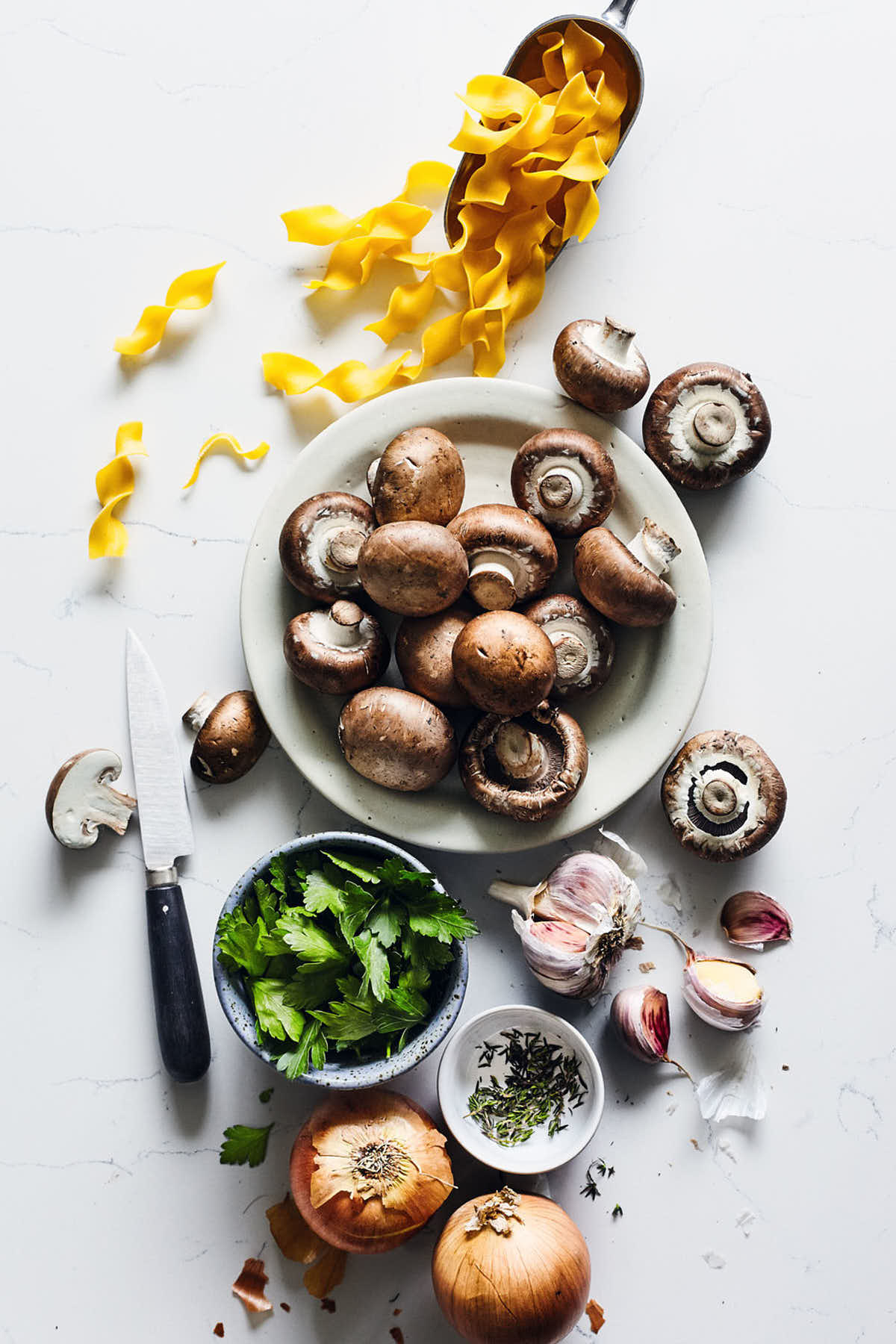 Mushroom stroganoff ingredients like pasta, mushrooms, parsley and onions on a countertop