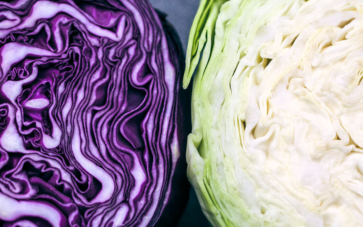 Purple and green cabbage side by side
