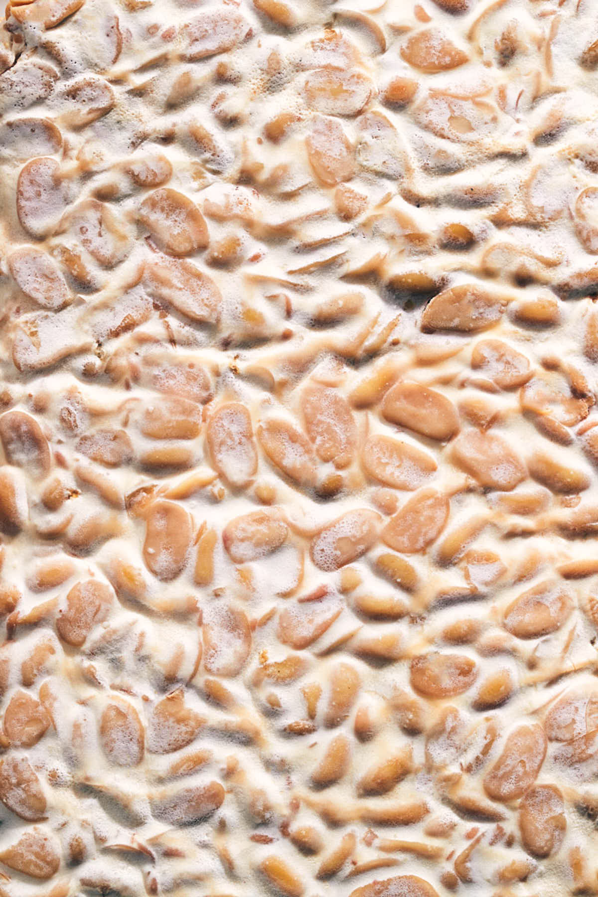 Close up texture of tempeh before being marinated and cooked