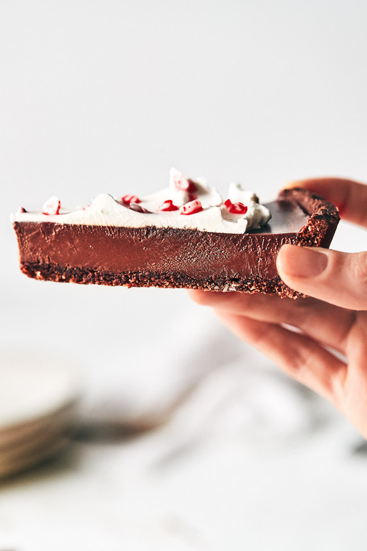 Hand holding slice of chocolate peppermint tart