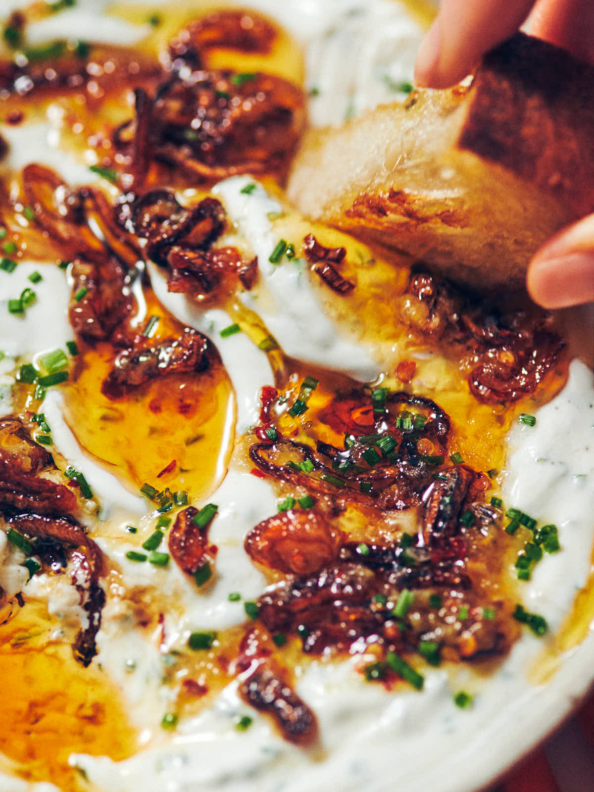 A piece of grilled bread being dipped into Greek yogurt onion dip with chili garlic oil and fried shallots