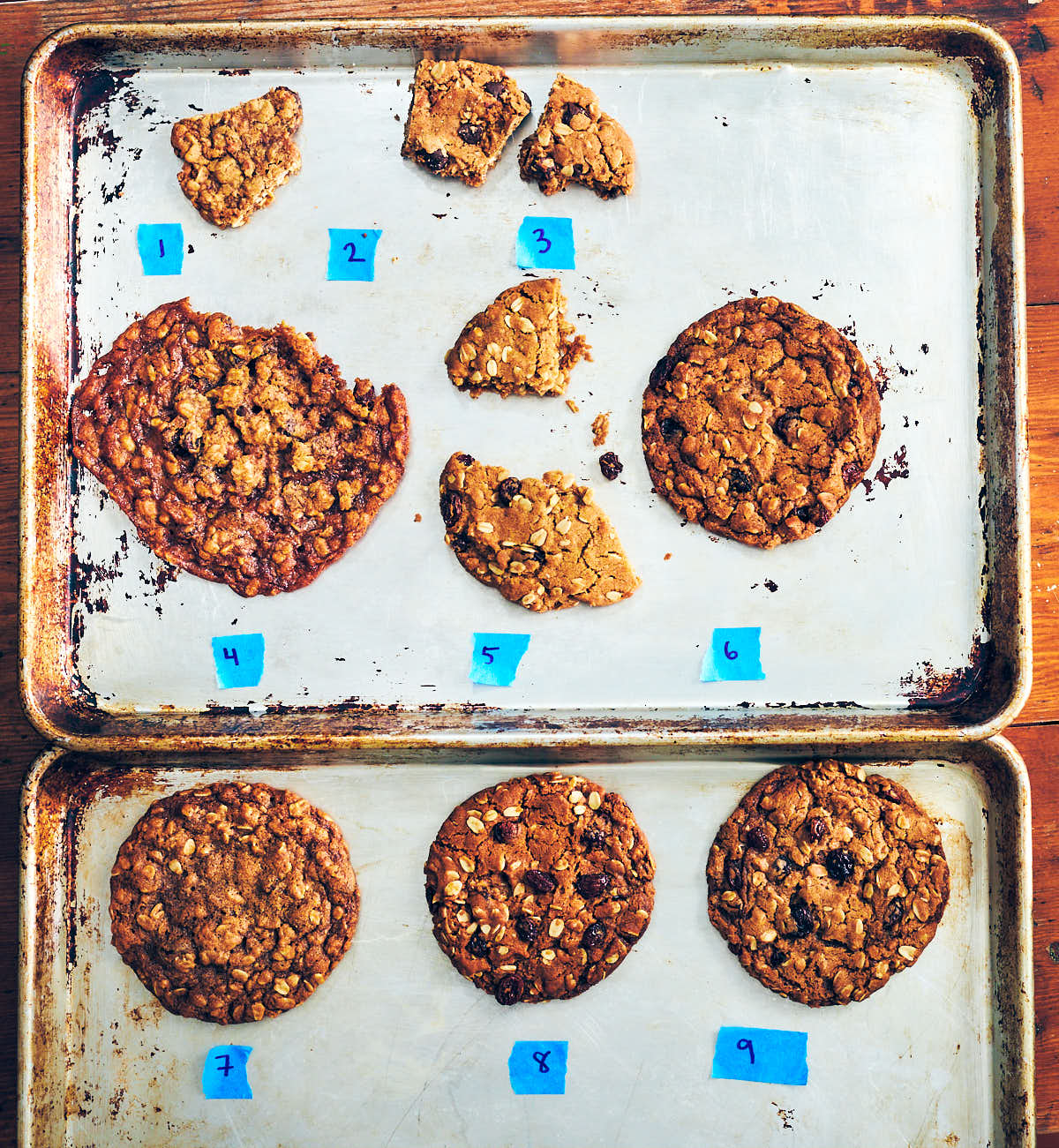 Baking sheets filled with different cookies from recipe testing.