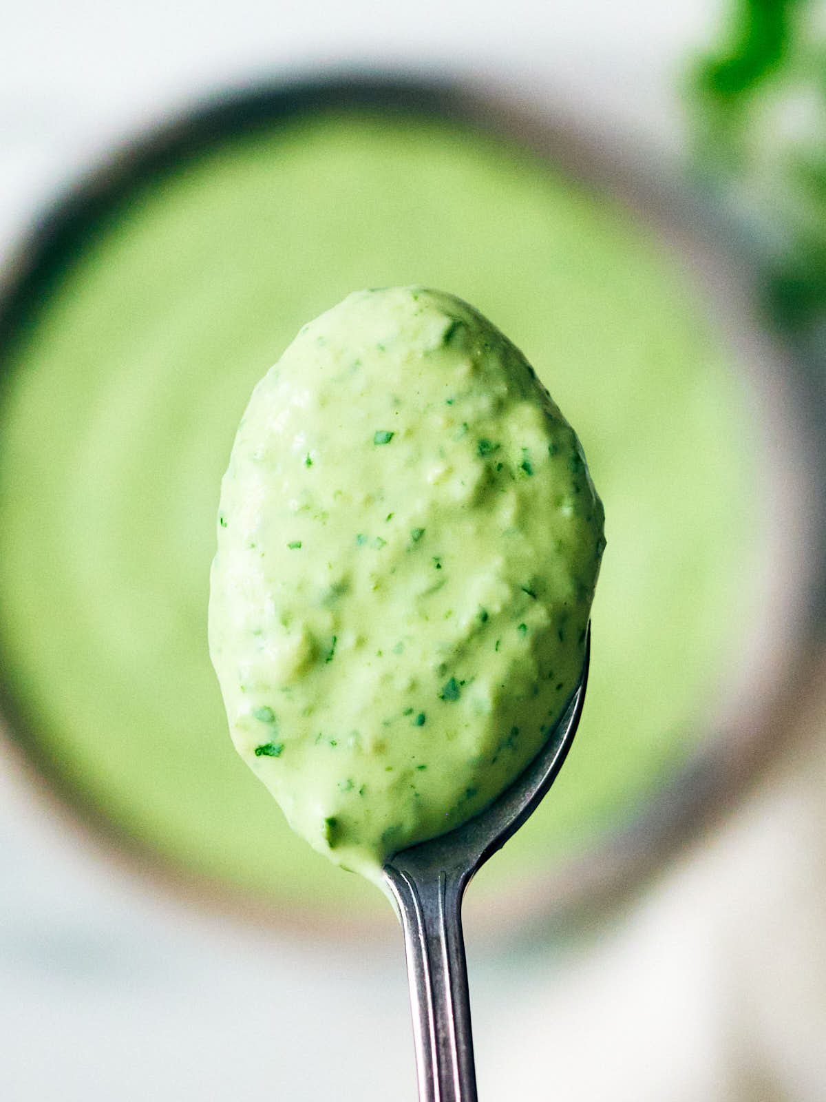 Creamy Cilantro Yogurt Sauce made with Greek yogurt on a spoon.