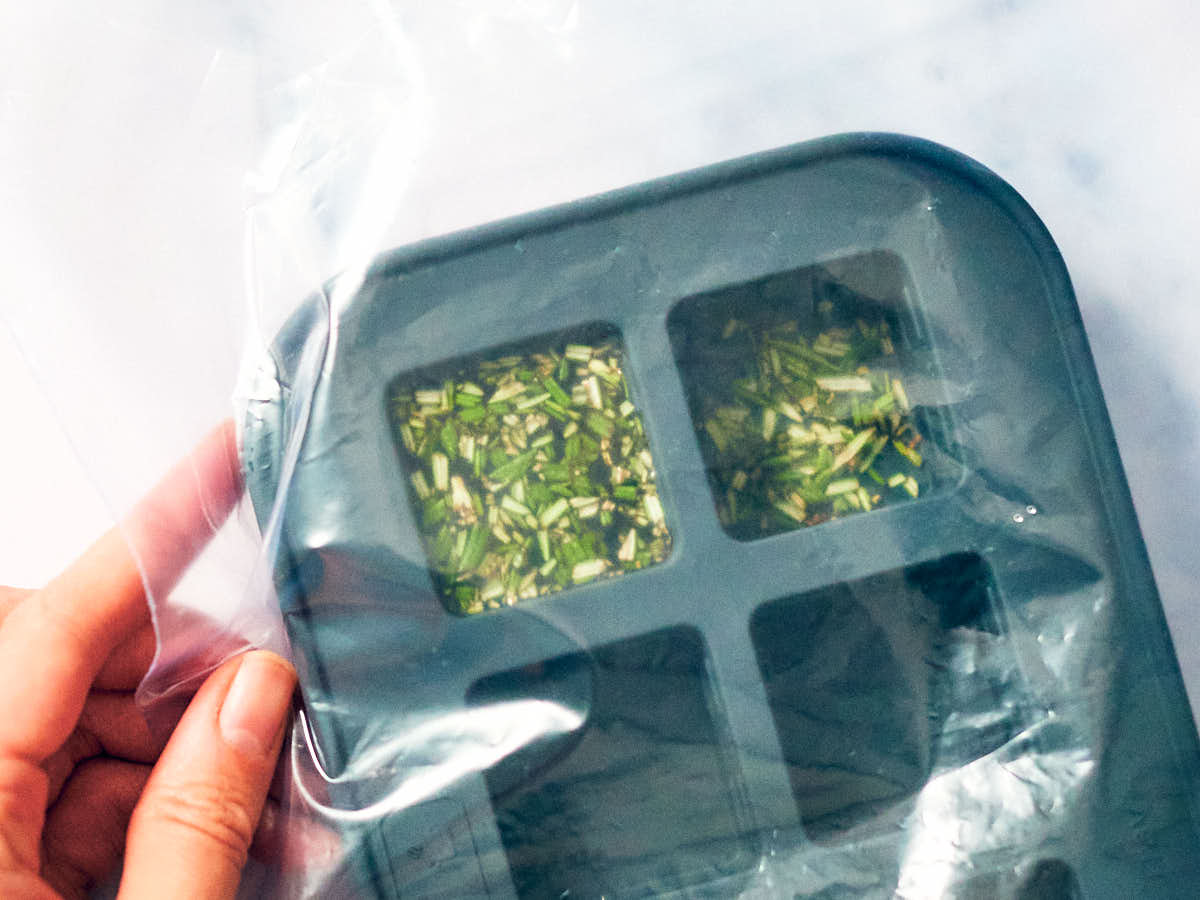 Using a freezer bag to cover an ice cube tray with fresh herbs.