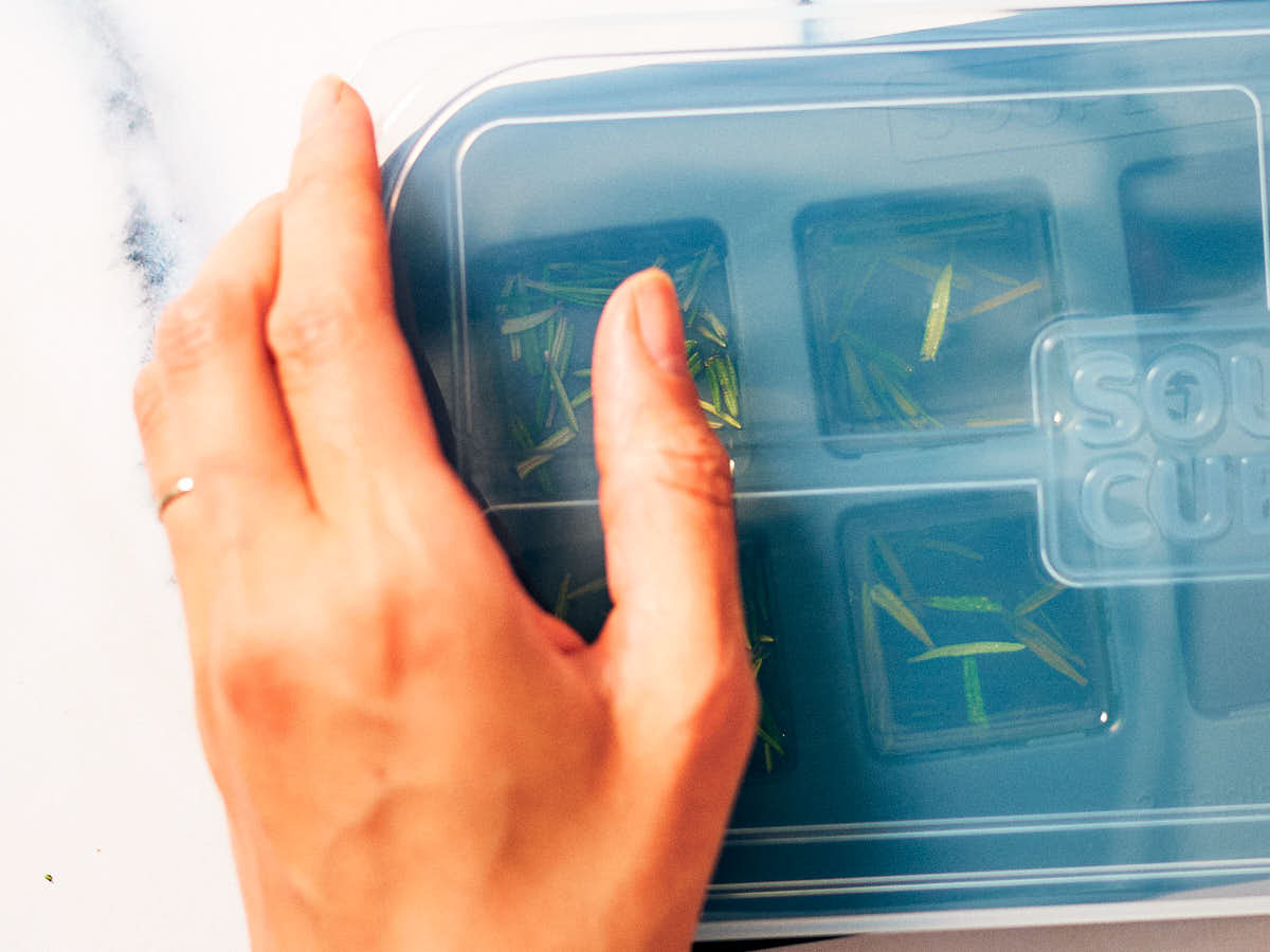 A woman's hand putting a lid on an ice cube tray.