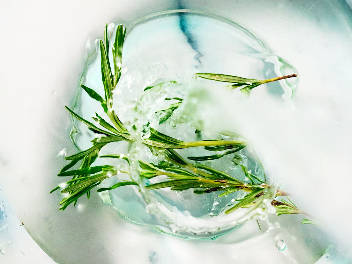 Rinsing fresh rosemary in water.