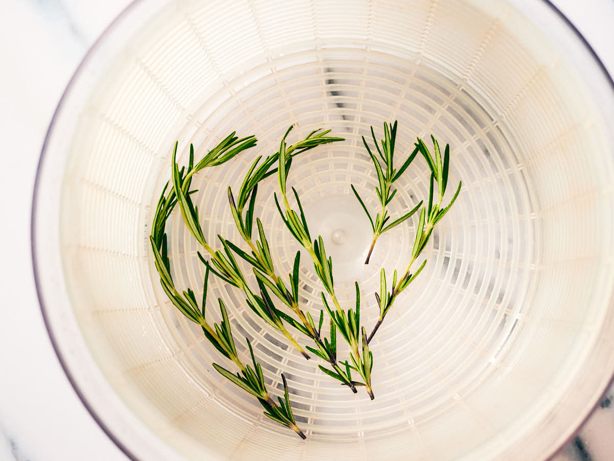 Fresh rosemary sprigs in a salad spinner used to dry them.