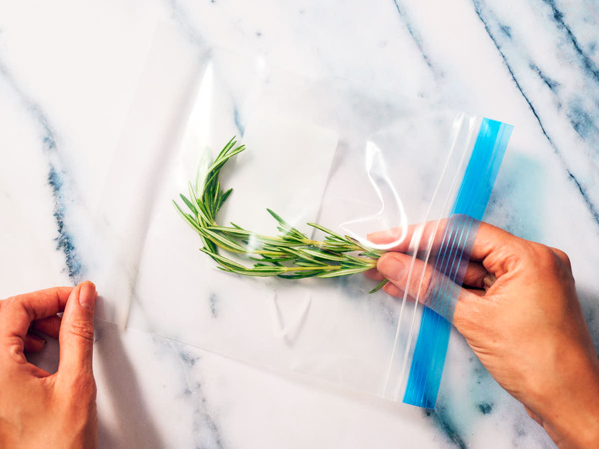 A woman's hands putting fresh rosemary in a freezer bag.