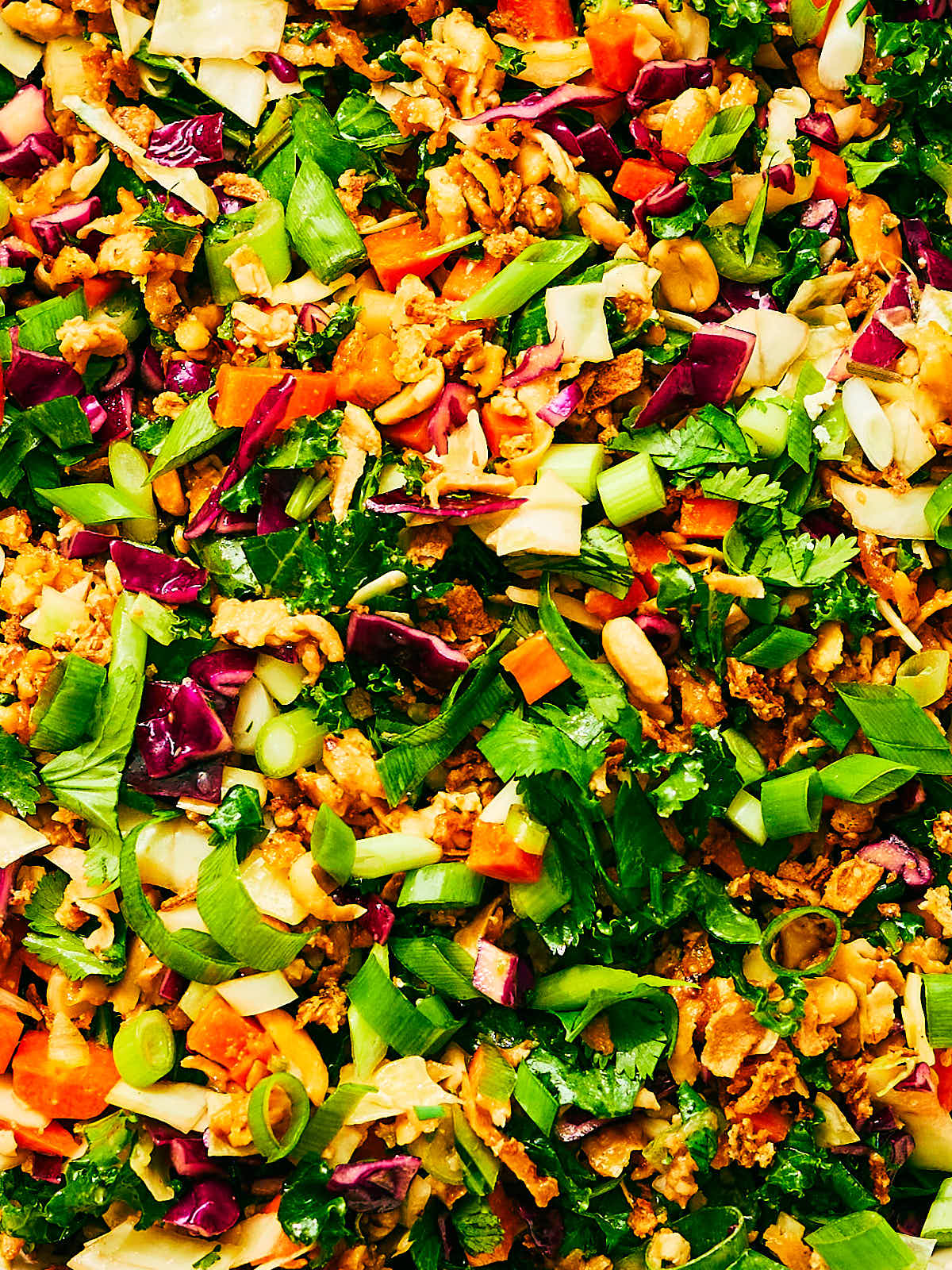 High protein Asian Crunch Salad with cabbage, peanut tofu, crispy shallots, and herbs.