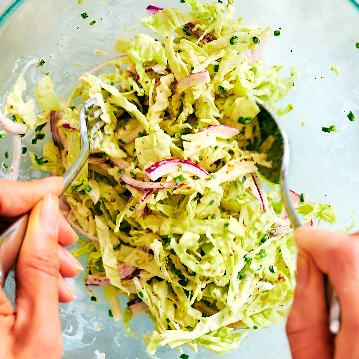 Cabbage Slaw with red onions being mixed in a glass bowl.